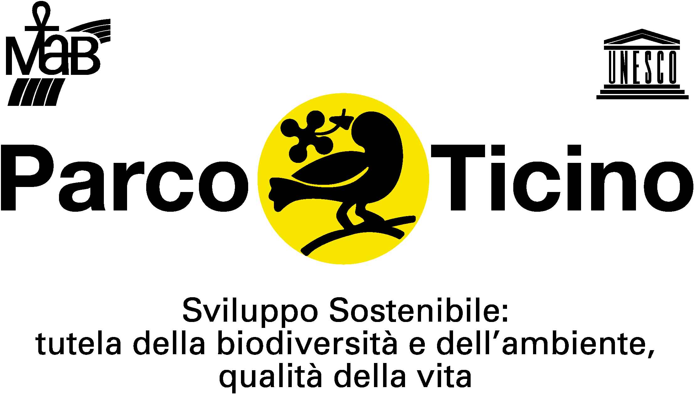 Immagine Aderente