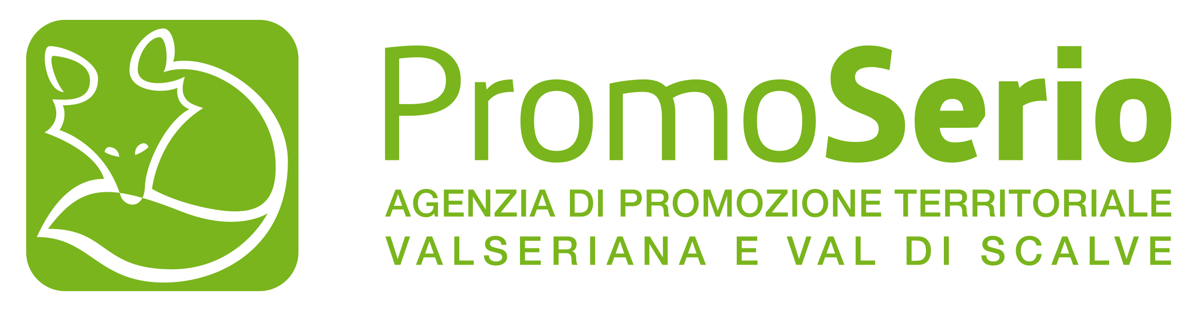 Immagine Aderente