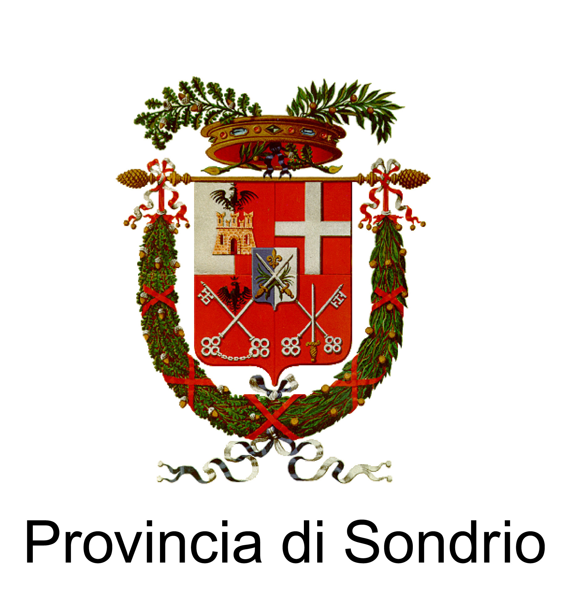Immagine Aderente