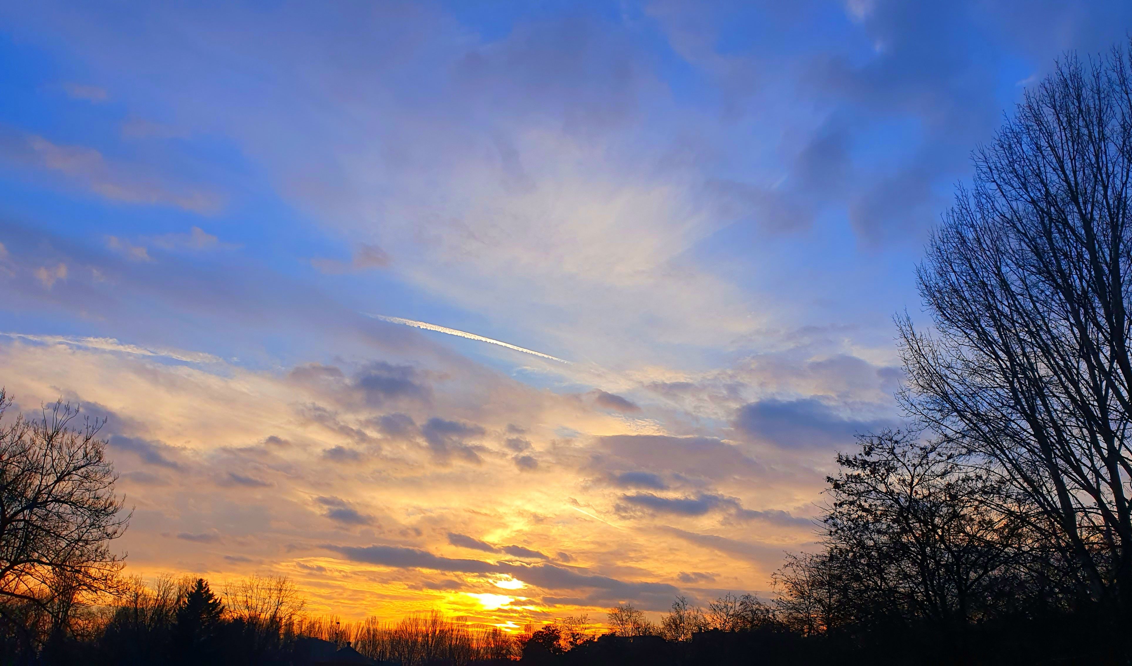 Immagine della notizia