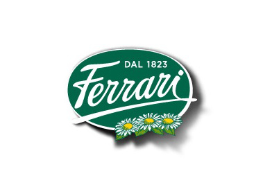 Immagine Aderente