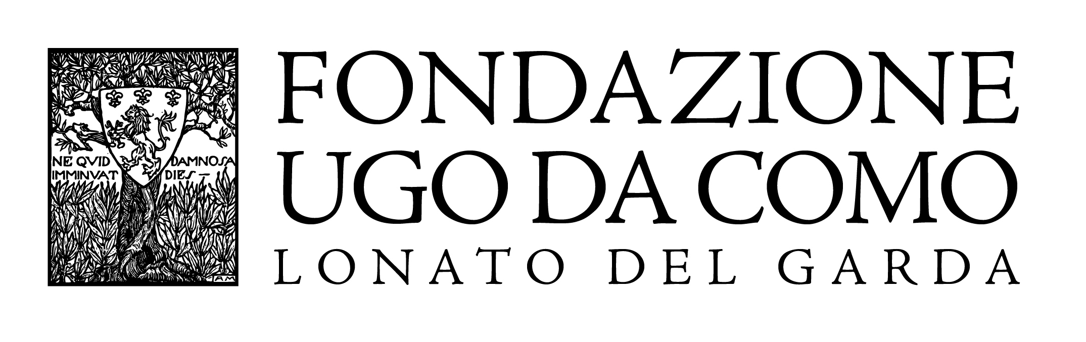 Immagine Aderente