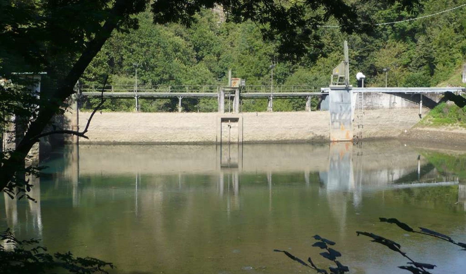 Immagine della notizia